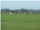 4360 Perricoota Road, Moama NSW 2731