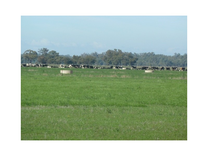4360 Perricoota Road, Moama NSW 2731