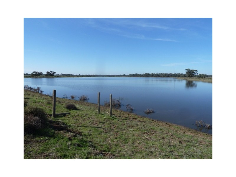 4360 Perricoota Road, Moama NSW 2731