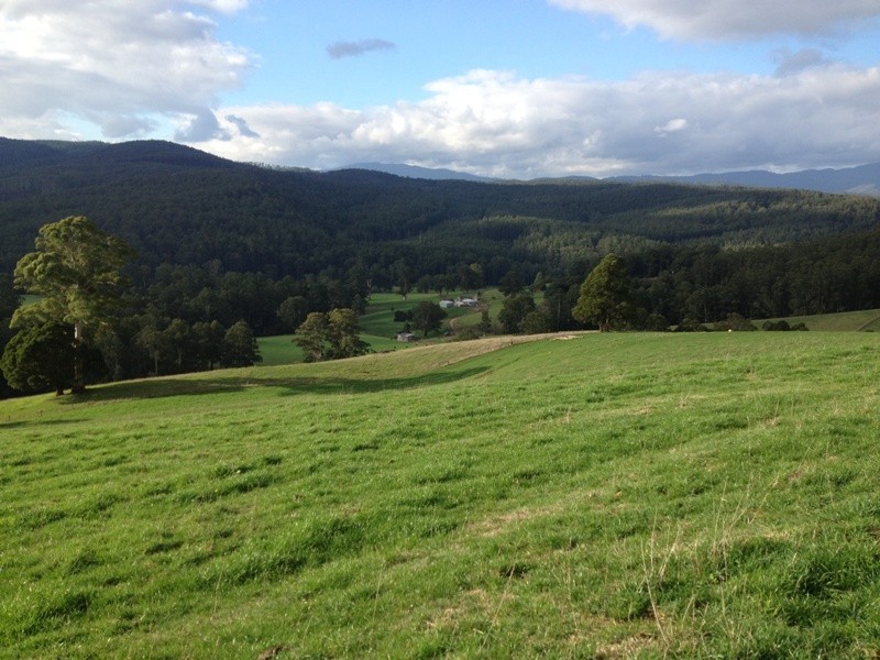 3780 Yarra Junction – Noojee Road, Neerim Junction VIC 3832