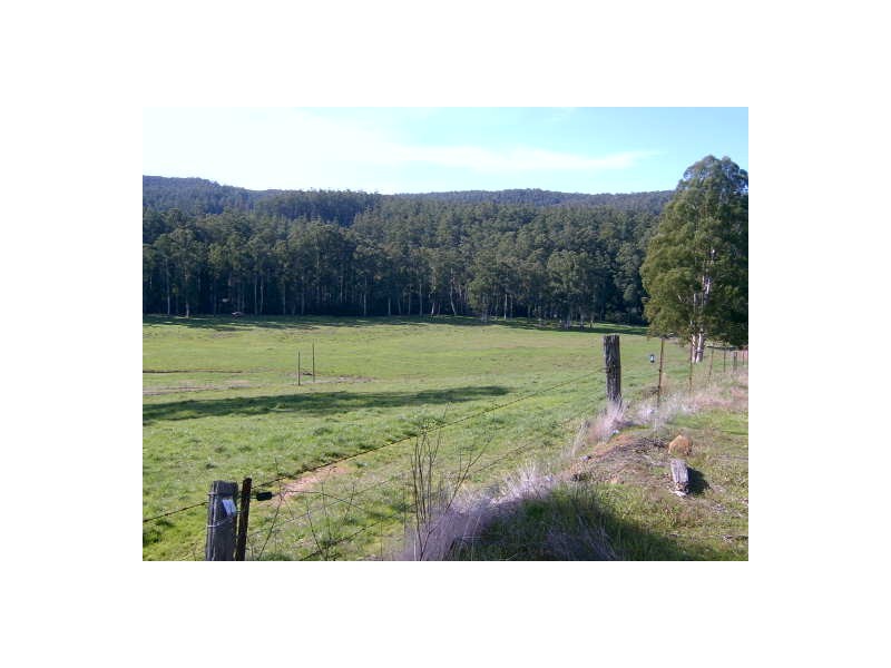 3780 Yarra Junction – Noojee Road, Neerim Junction VIC 3832