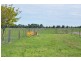 285 Verney North Road Zeerust/Congupna, Zeerust VIC 3634