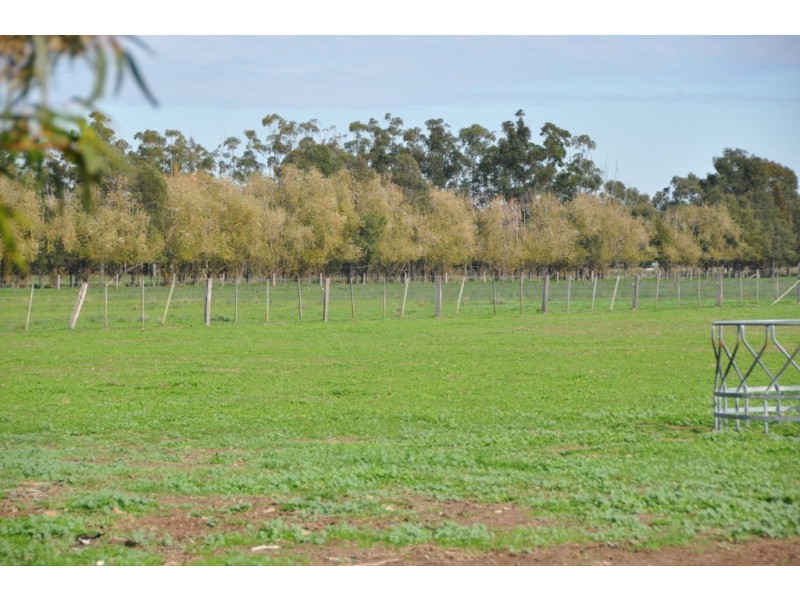 285 Verney North Road Zeerust/Congupna, Zeerust VIC 3634