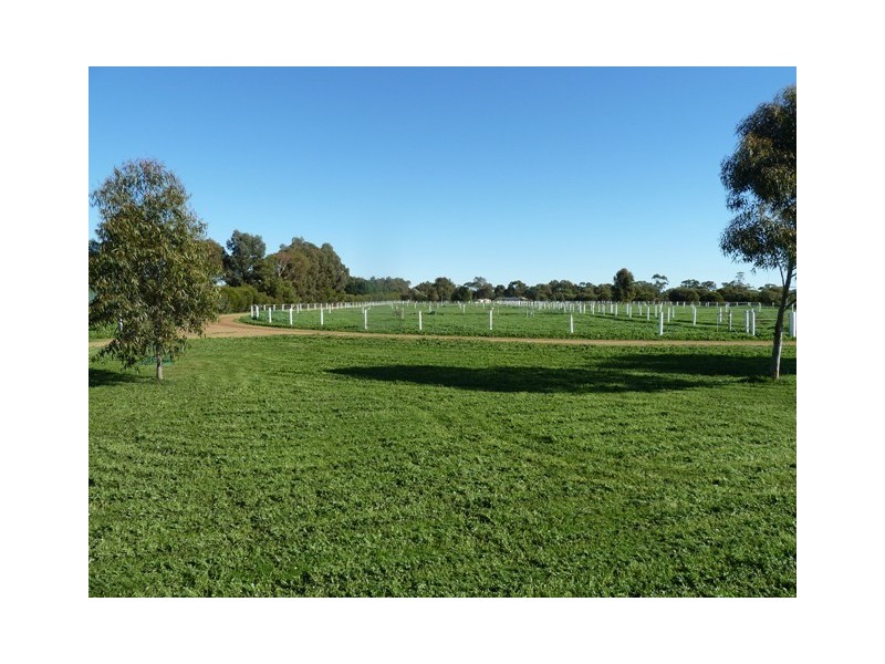 17 Cohen Street, Rochester VIC 3561