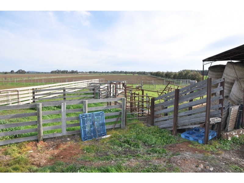 83 Rohan Road, Stanhope VIC 3623