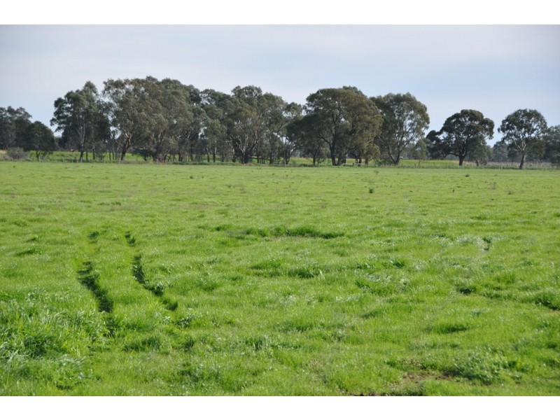 83 Rohan Road, Stanhope VIC 3623