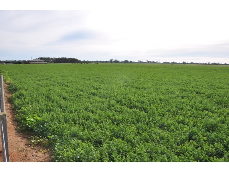 83 Rohan Road, Stanhope VIC 3623