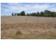 20 and 30 Murray Valley Hwy and Barnes Road, Cobram East VIC 3644