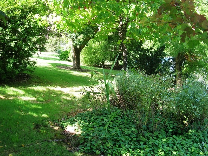 405 U.T Creek Rd, Alexandra VIC 3714