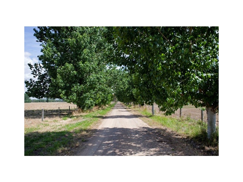 230 Terrett Road, Goomalibee VIC 3673