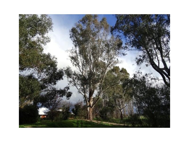 230 Terrett Road, Goomalibee VIC 3673