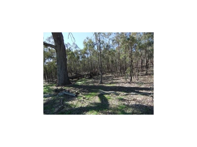 * Mount Misery Road, St Arnaud VIC 3478