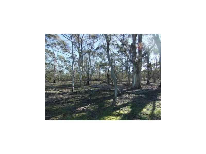 * Mount Misery Road, St Arnaud VIC 3478