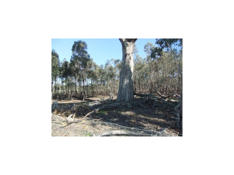 * Mount Misery Road, St Arnaud VIC 3478