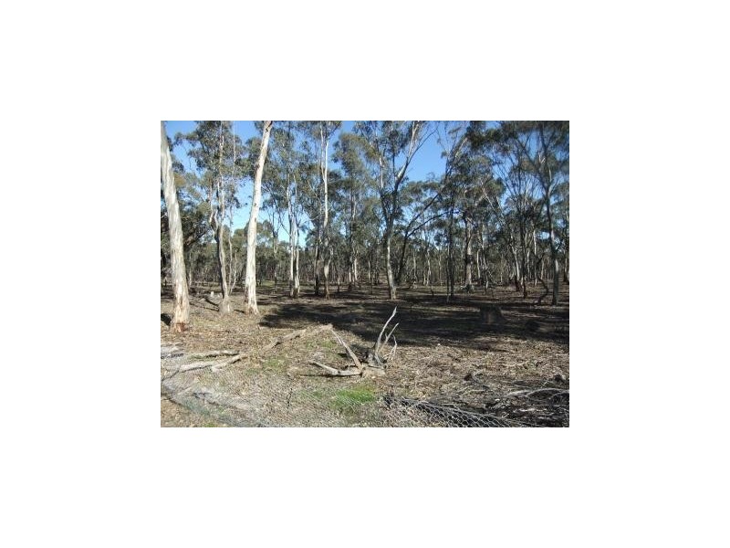 * Mount Misery Road, St Arnaud VIC 3478