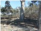 * Mount Misery Road, St Arnaud VIC 3478