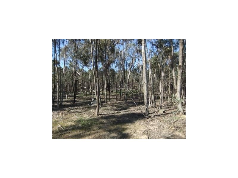 * Mount Misery Road, St Arnaud VIC 3478