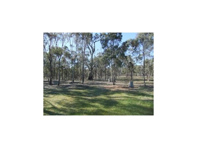 * Mount Misery Road, St Arnaud VIC 3478