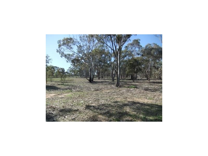 * Mount Misery Road, St Arnaud VIC 3478