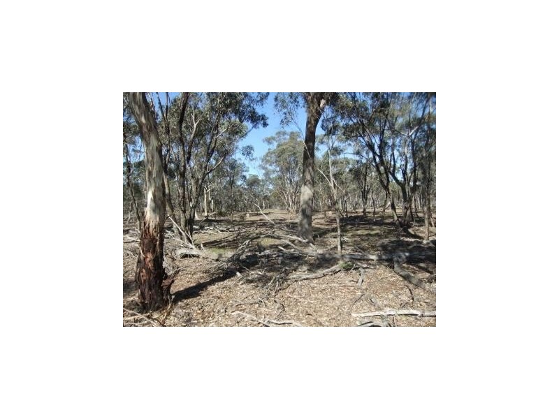 * Mount Misery Road, St Arnaud VIC 3478