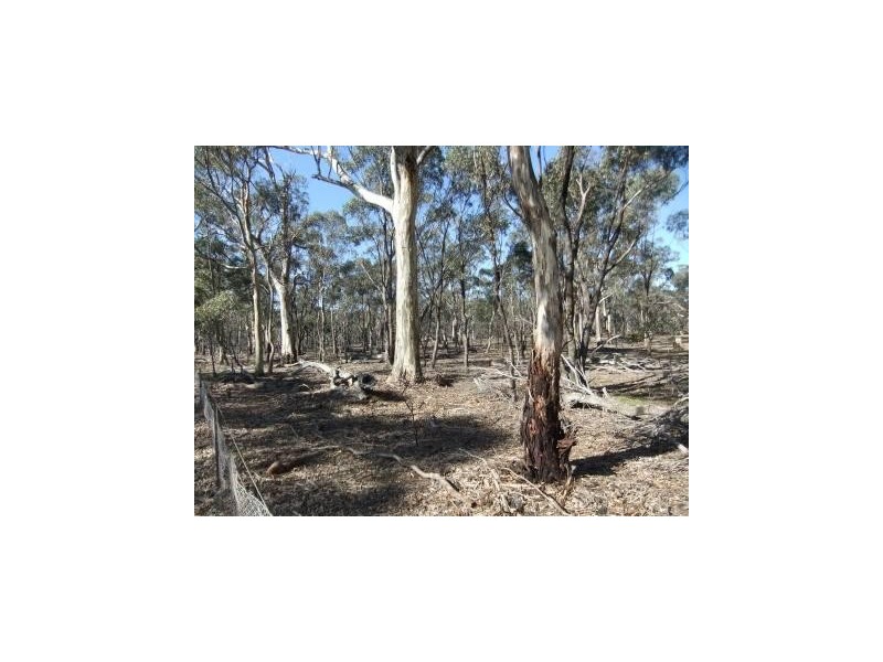 * Mount Misery Road, St Arnaud VIC 3478