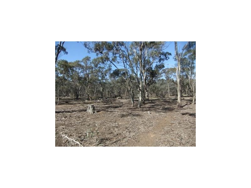 * Mount Misery Road, St Arnaud VIC 3478