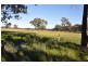345 Angle Rd, Murchison VIC 3610