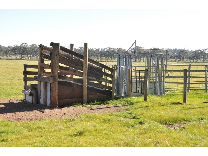 345 Angle Rd, Murchison VIC 3610