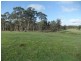 * Bealiba – Moligual Road, St Arnaud VIC 3478