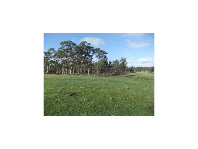 * Bealiba – Moligual Road, St Arnaud VIC 3478