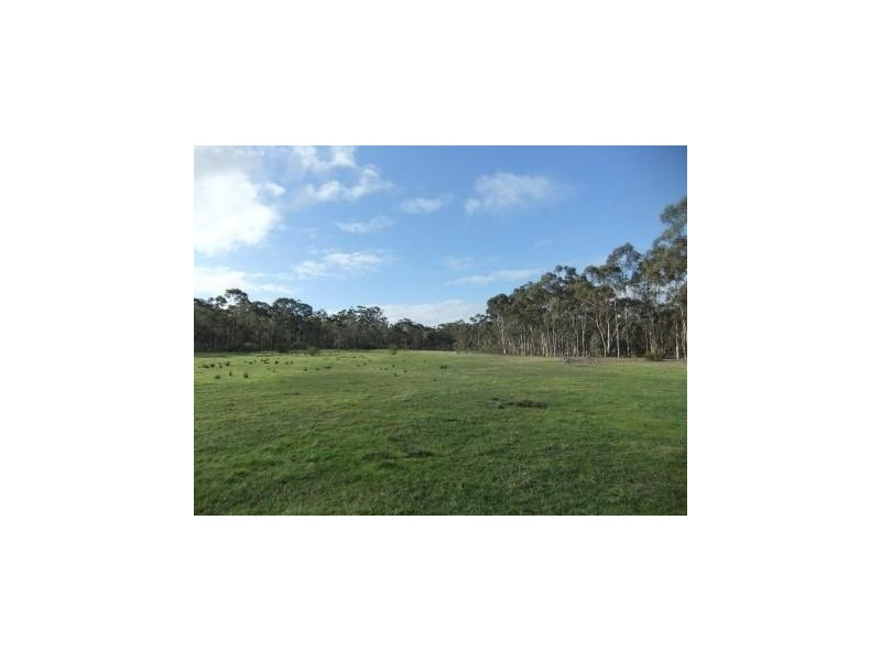 * Bealiba – Moligual Road, St Arnaud VIC 3478