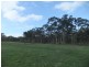 * Bealiba – Moligual Road, St Arnaud VIC 3478