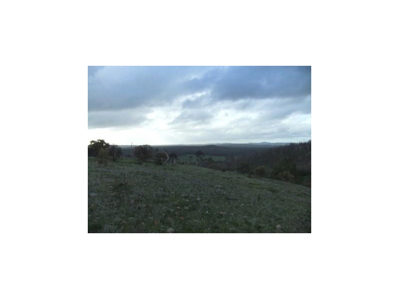 * Mount Moligual, St Arnaud VIC 3478