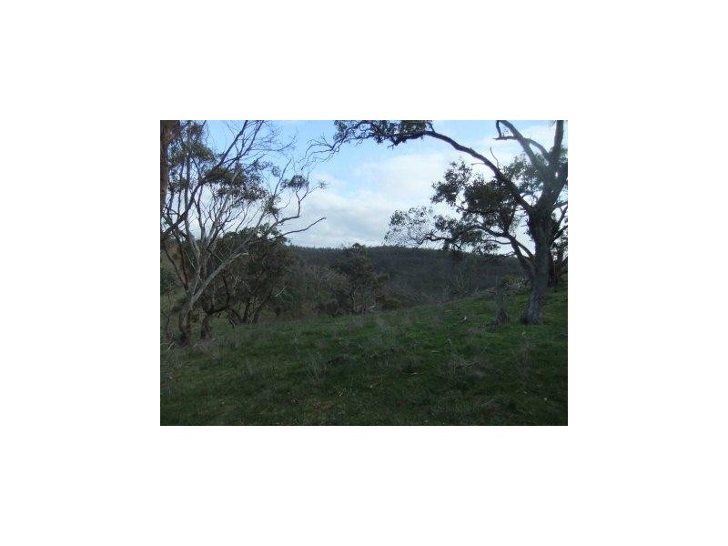 * Mount Moligual, St Arnaud VIC 3478
