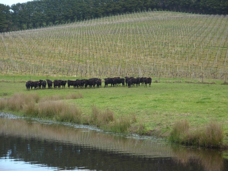 - Melba Highway, Murrindindi VIC 3717