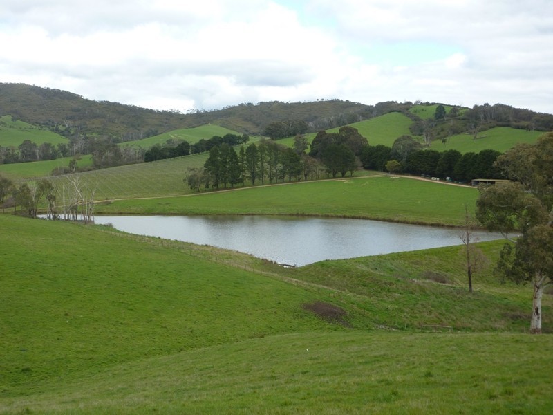 - Melba Highway, Murrindindi VIC 3717