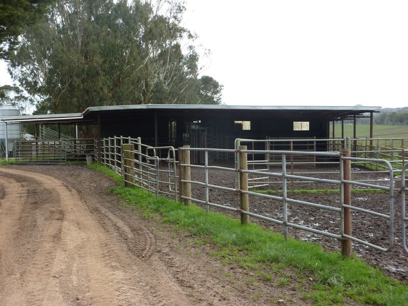 - Melba Highway, Murrindindi VIC 3717