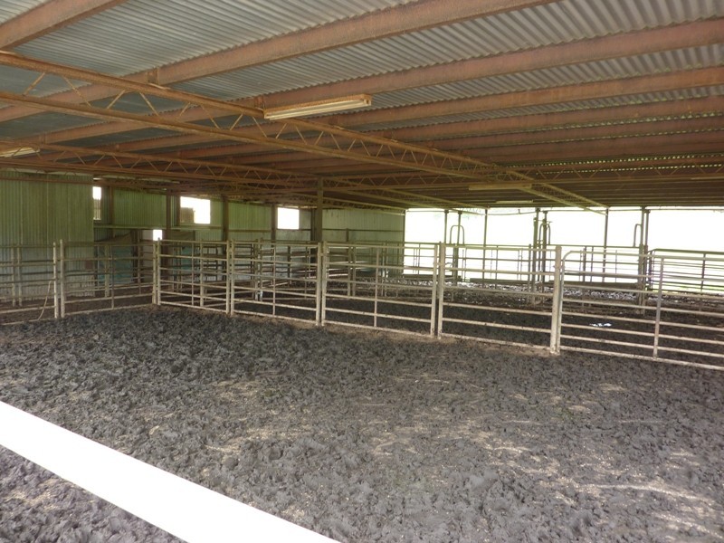 - Melba Highway, Murrindindi VIC 3717