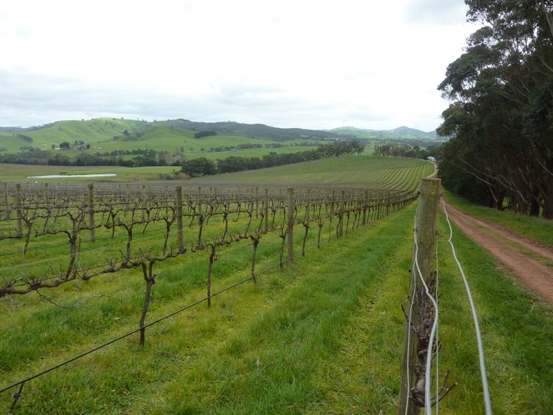 - Melba Highway, Murrindindi VIC 3717