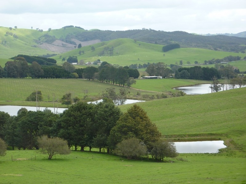 - Melba Highway, Murrindindi VIC 3717