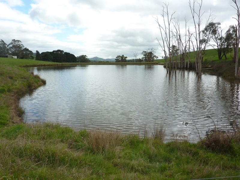 - Melba Highway, Murrindindi VIC 3717