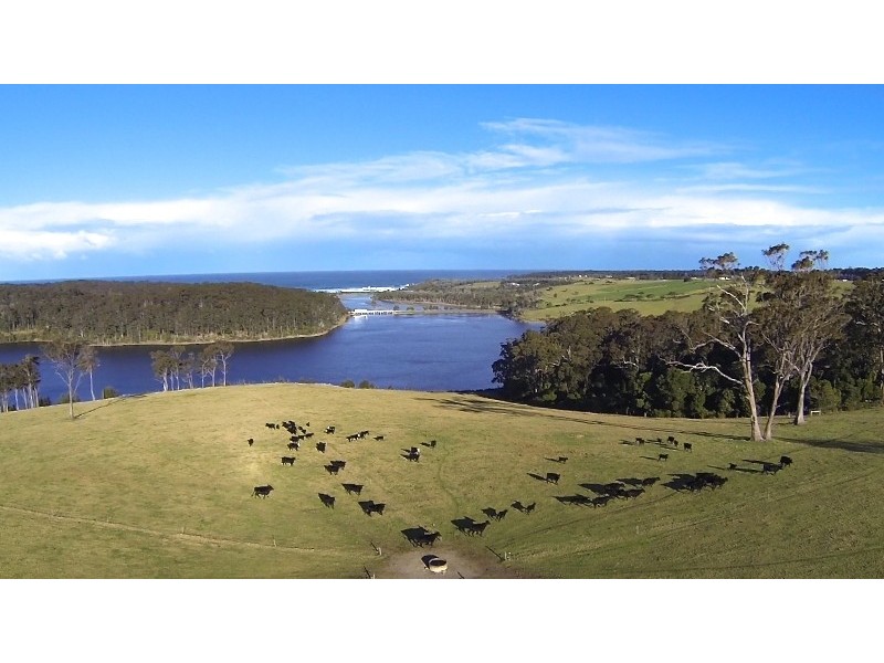 853 Old Highway, Narooma NSW 2546