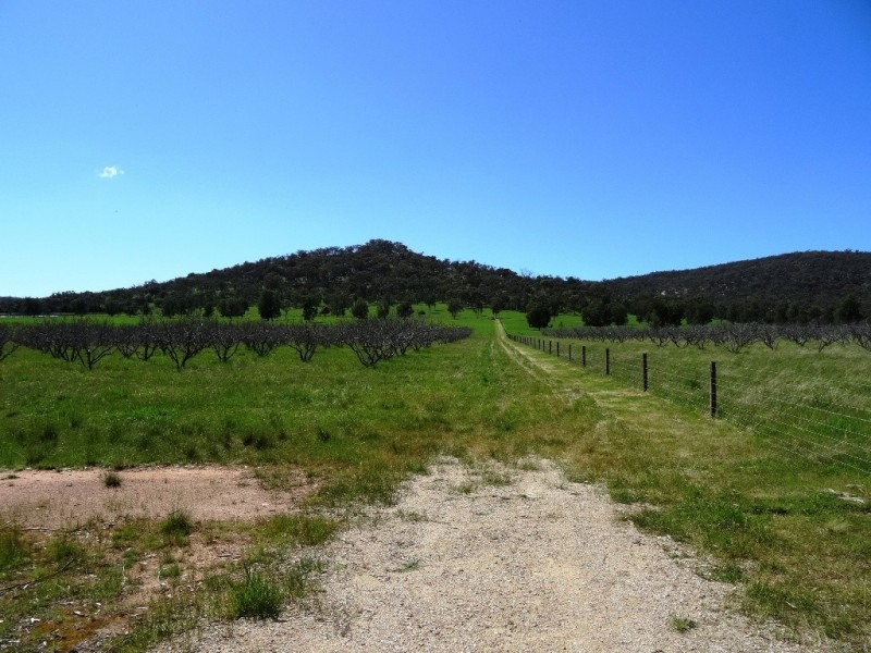Lot 2, 296 Booth Road, Taminick VIC 3675