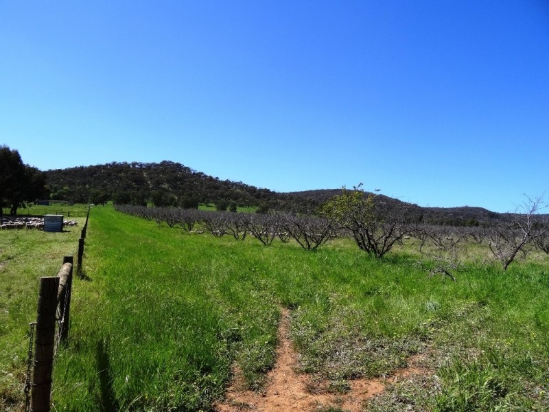 Lot 2, 296 Booth Road, Taminick VIC 3675