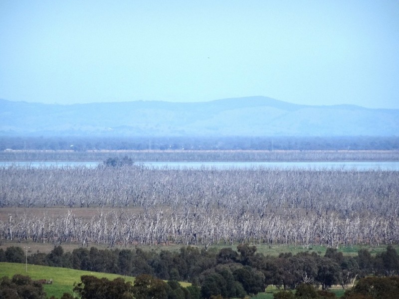 Lot 2, 296 Booth Road, Taminick VIC 3675