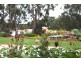557 Ulupna Bridge Road, Ulupna VIC 3641