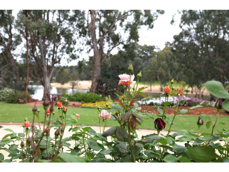 557 Ulupna Bridge Road, Ulupna VIC 3641