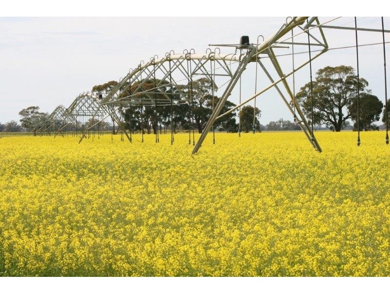 . Perricoota Road, Moama NSW 2731
