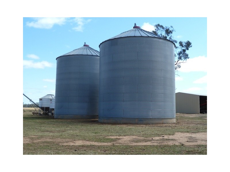 . Perricoota Road, Moama NSW 2731