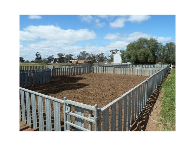 . Perricoota Road, Moama NSW 2731